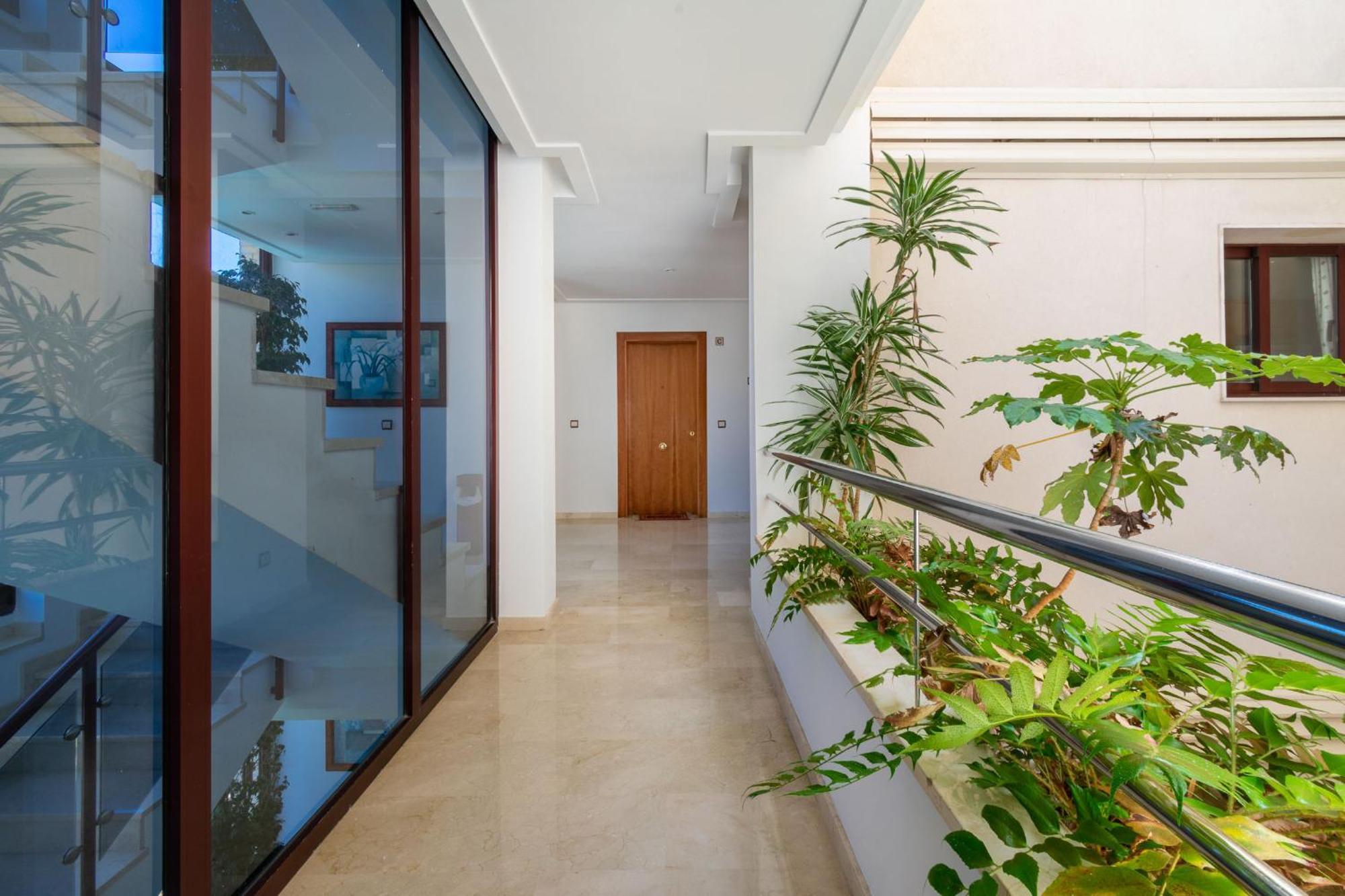Apartamentos Albir Confort 1 Dormitorio 阿尔比尔 外观 照片